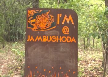 Gujarat: Dhanpuri eco-tourism centre in Panchmahal emerges as tourist hotspot