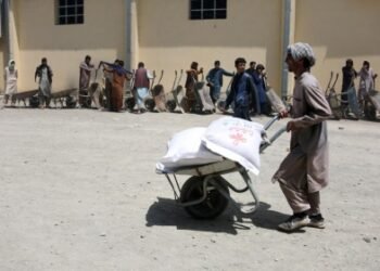 UN warns of acute food insecurity in Afghanistan