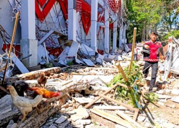 Indonesia: Flores earthquake death toll rises to 47