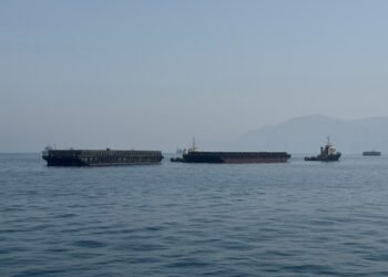 Strait of Hormuz crisis underscores need for diversified energy routes: Report