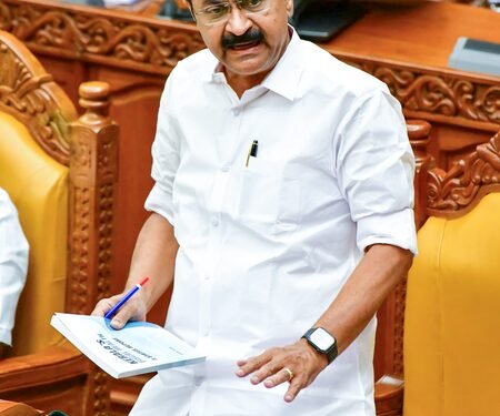Assurance on movement of construction materials from TN received: CM Satheesan