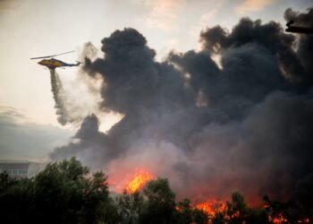 New hotspots emerge in Belgian wildfire, two firefighters hospitalised