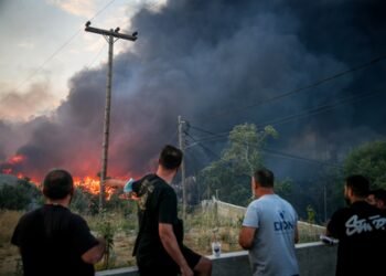 Two dead, four injured during wildfire on Greek island of Salamina
