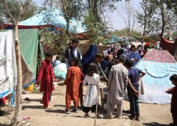 14 million people in Afghanistan face acute food insecurity: World Food Programme