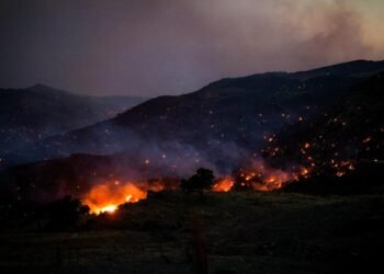 Wildfire in Netherlands not fully extinguished, but under control, says authorities