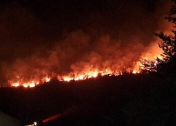 Serbia battles wildfires as extreme heat, drought intensify
