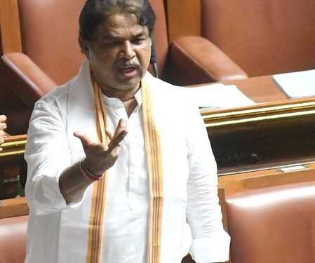‘Rubber stamp CM’: K’taka BJP criticises Cong over delay in portfolio allocation