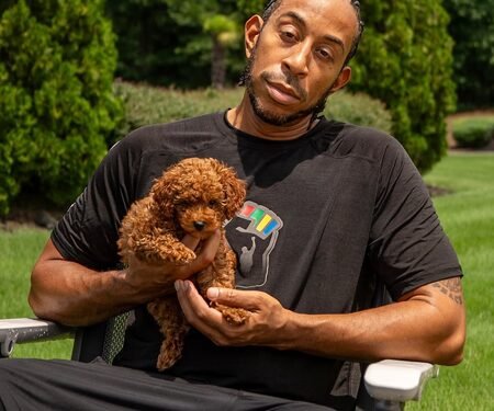 Ludacris gets dog-sitting duty after daughters ask for a new pet