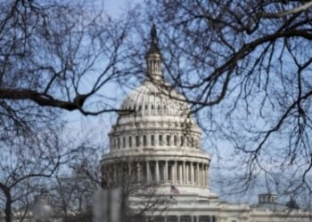 US senators flag student visa delays