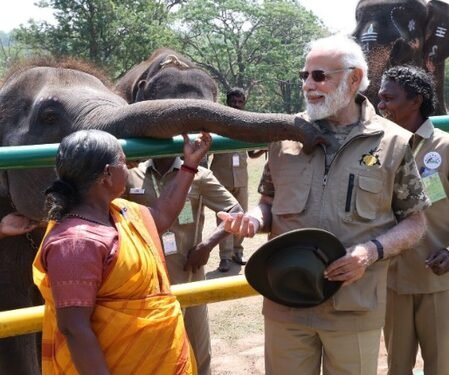 Gladdening that India is home to over 60 pc of world’s wild Asian elephants: PM Modi on World Elephant Day