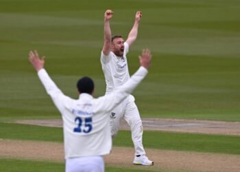 Sussex all-rounder Danny Lamb calls time on career at 30 after neck injury