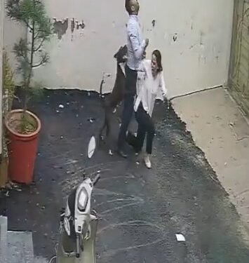 Couple attacked by pitbull while viewing rental home in Punjab, video emerges