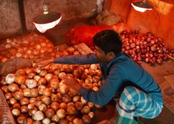 Full-blown systemic collapse: Awami League hits out at Bangladesh govt over unprecedented energy crisis