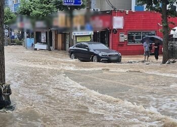 Heavy rainfall causes extensive damage in southwestern South Korea