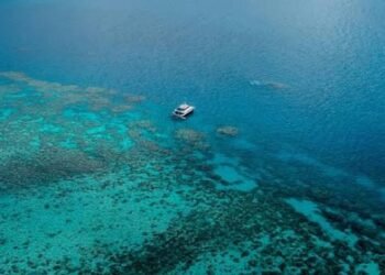 Researchers in Australia develop new tool to assess Great Barrier Reef health