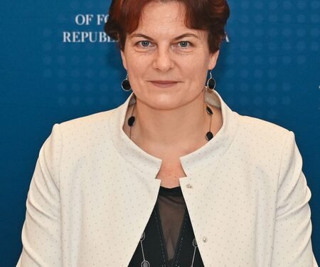 ‘We are Nordic lights reflecting Gandhi’s values in world’: Lithuania envoy on India ties