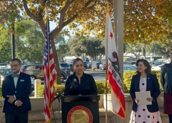 Aisha Wahab first Afghan-American elected to US Congress
