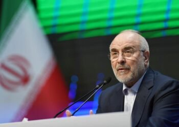 Received messages from neighbours about shaping new security, economic arrangements: Iran
