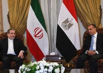 Egypt, Iran discuss efforts to resume diplomatic track for regional de-escalation