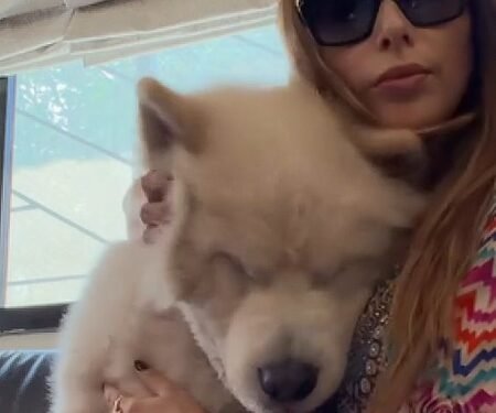 Iulia Vantur shares video playing with Salman Khan’s pet Sukh, calls it ‘the cutest love’