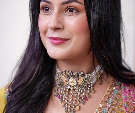 Shehnaaz Gill reveals how ‘Singh vs Kaur 2’ is outcome of her manifestation