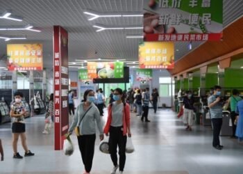China’s leadership ignoring domestic consumers in pursuit of big projects: Report