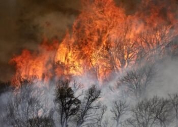 Two killed in helicopter crash fighting wildfire in US state of Utah
