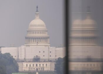 Democrats need new leaders: Congressman