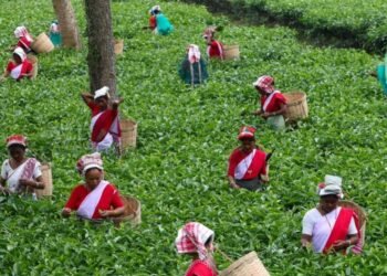 Guwahati–Tezpur highway corridor to boost Assam’s tea, tourism and trade