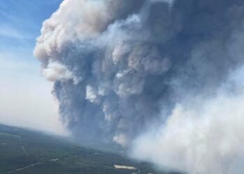 Canada’s British Columbia declares state of emergency over wildfires