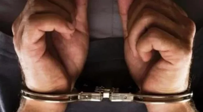 DRI seizes 76kg methamphetamine in Assam, Mizoram; 2 arrested