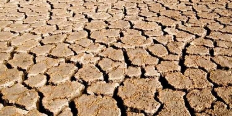 More Than 100 Karnataka Taluks Likely to Be Declared Drought-Hit: Shivakumar
