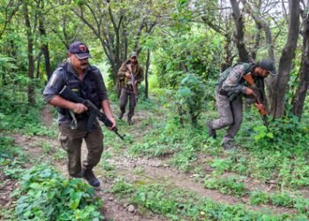 One terrorist killed in J&K’s Budgam district, searches underway