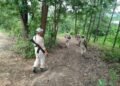 Three killed as militants attack Kuki village in Manipur (Lead)