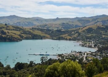 New Zealand’s international education export earnings surge past pre-COVID levels: minister