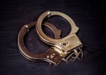 Chhattisgarh: Two arrested for stealing dead bear nails