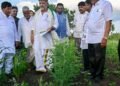 ‘Crops have failed’: Karnataka CM Shivakumar conducts drought survey in Bagalkot