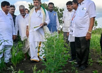 ‘Crops have failed’: Karnataka CM Shivakumar conducts drought survey in Bagalkot