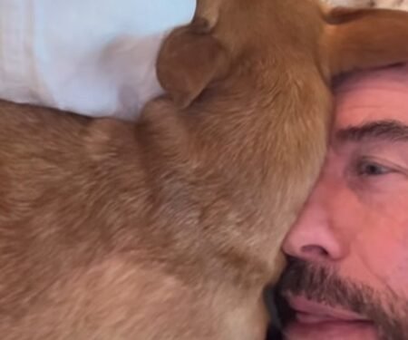 John Travolta’s dog Peanut celebrates bath time with adorable face licks