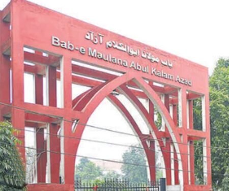 Jamia Millia Islamia workshop focuses on childhood trauma, rehabilitation
