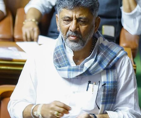 Karnataka govt forms SIT to probe insurance fraud