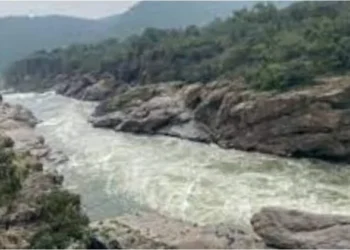 Mekedatu project: Karnataka steps up land process, officials told to fast-track work