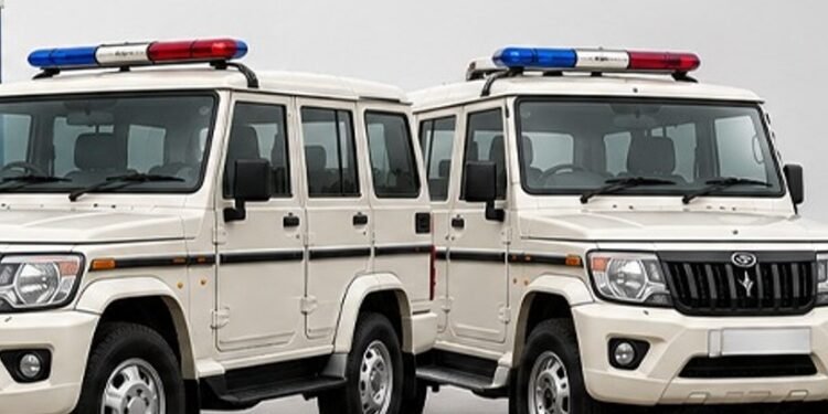 Saujanya case: Karnataka SIT gets three months to complete fresh probe