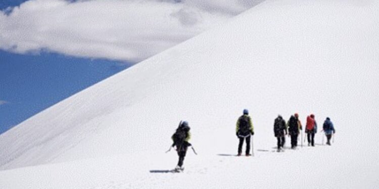 Rajnath Singh Flags In Historic Ladakh Expedition After Climbers Summit 20 Unclimbed Peaks