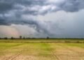 No suitable clouds for cloud seeding yet, Karnataka experts advise govt to wai