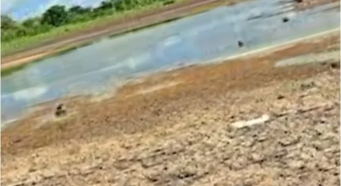 Drought-hit taluk list: BJP accuses Karnataka govt of discrimination against farmers