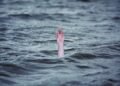Search on for two missing youths in Veligonda feeder canal in Andhra