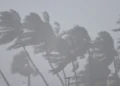 Heavy rains disrupt Mumbai, Andhra and Tamil Nadu; waterlogging hits roads, rail tracks