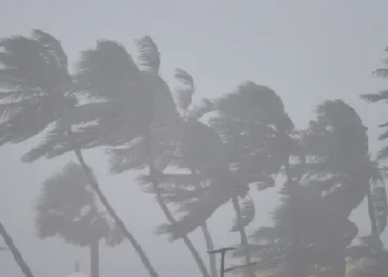Heavy rains disrupt Mumbai, Andhra and Tamil Nadu; waterlogging hits roads, rail tracks