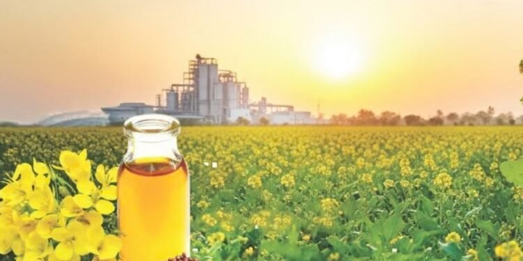 ICAR-IIOR to host national meet in Hyderabad to fast-track oilseed technology commercialisation